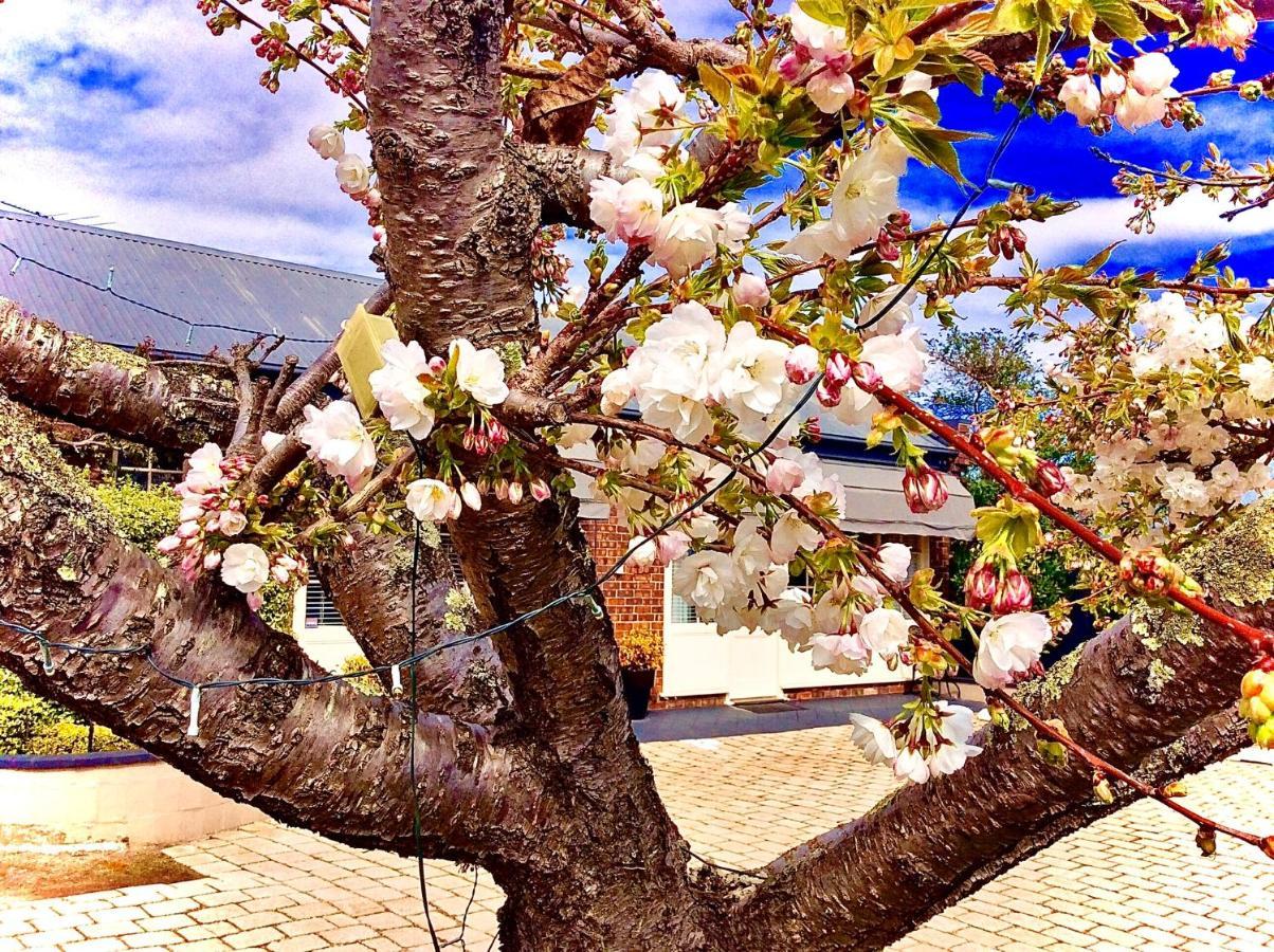 Kurrajong House Bed & Breakfast Launceston Dış mekan fotoğraf
