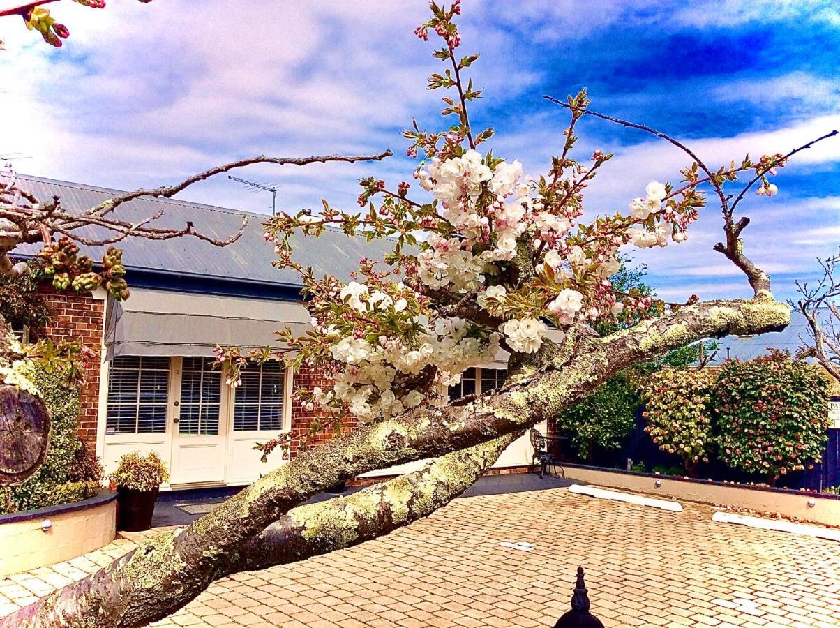 Kurrajong House Bed & Breakfast Launceston Dış mekan fotoğraf